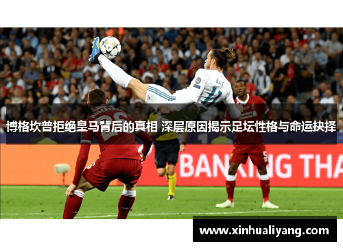 博格坎普拒绝皇马背后的真相 深层原因揭示足坛性格与命运抉择 博格坎普拒绝皇马背后的真相 深层原因揭示足坛性格与命运抉择